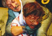 1993 der dieb der nicht zu schaden kam