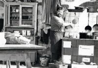 1995 die drei eisbaeren