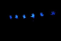 2009 lumpazivagabundus