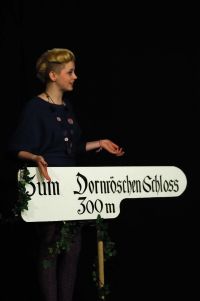 2013 der rotkaeppchen report