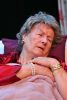 2024 des sommers letzte rosen